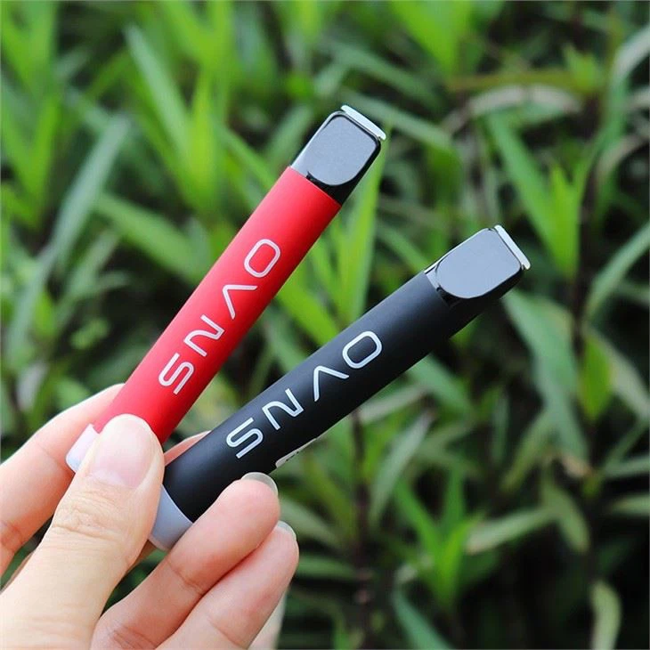 500+puffs Disposable E-cigarette 500+puffs Disposable E-cigarette