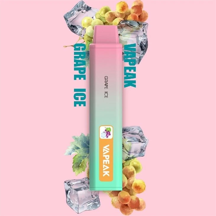 5000puffs 2% Mesh Coil Disposable Vape 5000puffs 2% Mesh Coil Disposable Vape