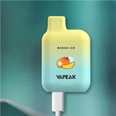 6000 Puff Disponibel Vape Device