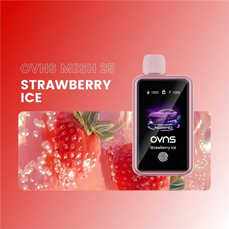 30000 Puffs Electronic Cigarette